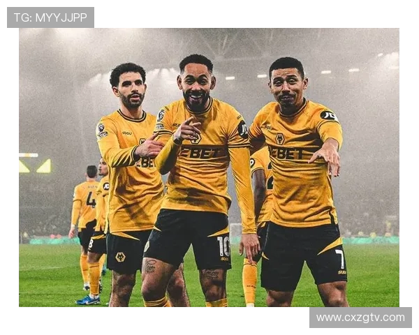 英超联赛中的狼队简介