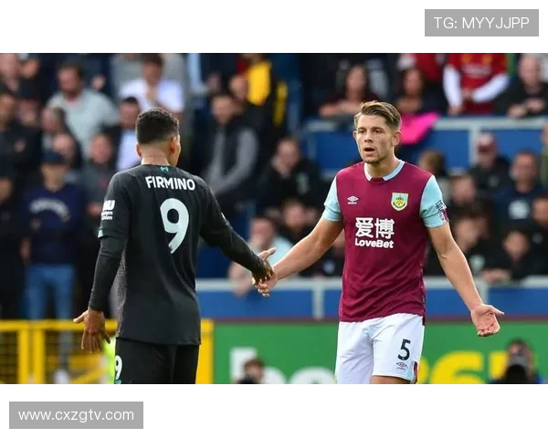 诺维奇球员14号是谁？球队阵容及战术角色分析