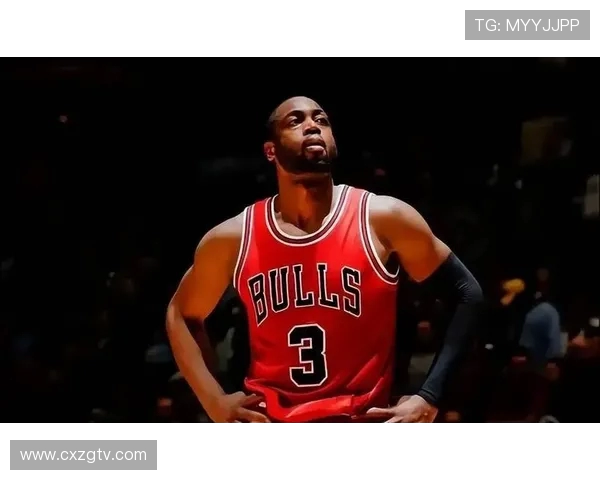 韦德的NBA生涯：从新秀到传奇