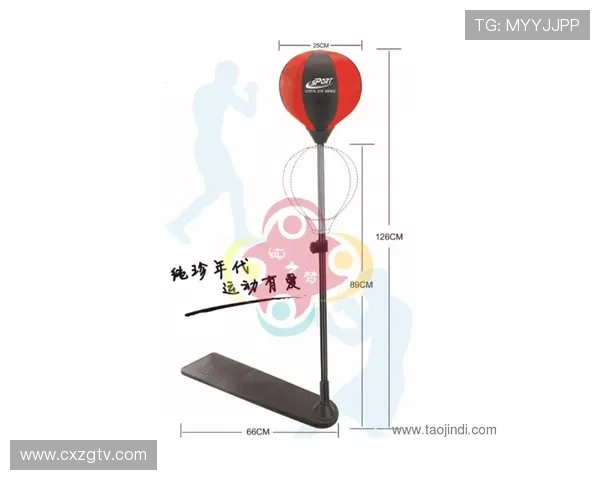 拳击体育健身器材全解析：选择与使用技巧详解