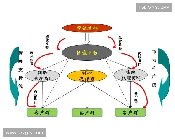 足球赛事中的品牌管理与市场拓展