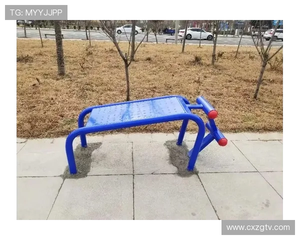 鲁派设计:山东户外健身器械功能创新与人体工学实践 鲁派设计:山东户外健身器械功能创新与人体工学实践