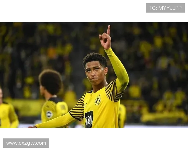 德甲王牌球队球员名单盘点：核心人物与关键位置分析