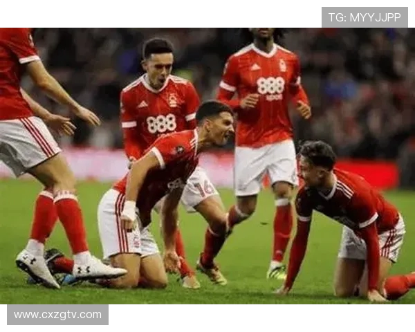 谢菲尔德联队对阵水晶宫赛前分析与比分预测前瞻英超焦点战走势全面解读 谢菲尔德联队对阵水晶宫赛前分析与比分预测前瞻英超焦点战走势全面解读